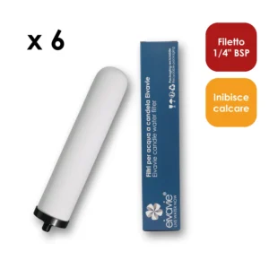 Advanced Ceramicae SI 1_4_ bsp - EIVAP10CS314SC-x6