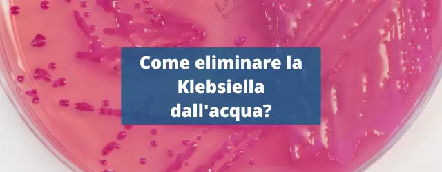 Come eliminare la Klebsiella terrigena dall’acqua