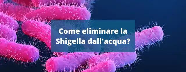 Come eliminare la Shigella dall’acqua