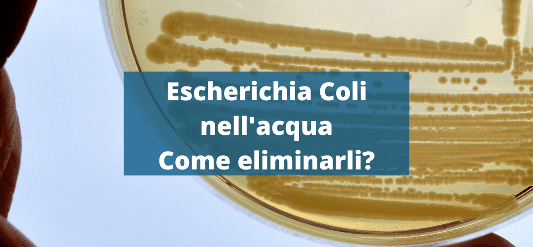 Escherichia coli nell acqua: Come eliminarli?