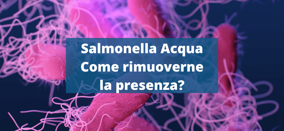 Salmonella acqua: come rimuoverne la presenza?